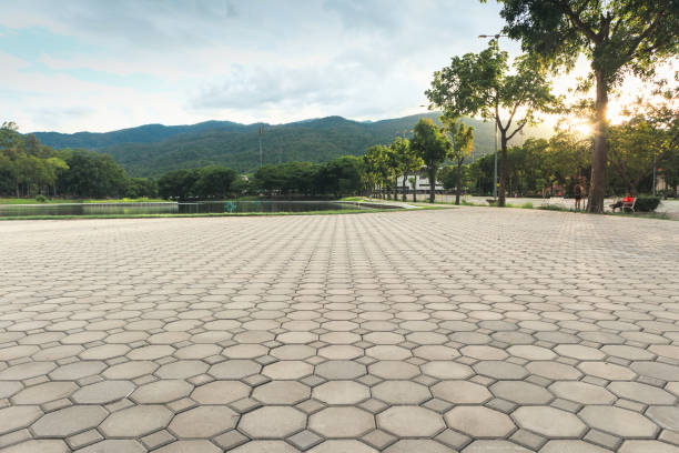 Best Driveway Paving Contractor  in Ackerman, MS